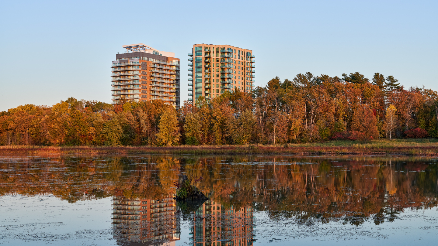 Petrie's Landing I