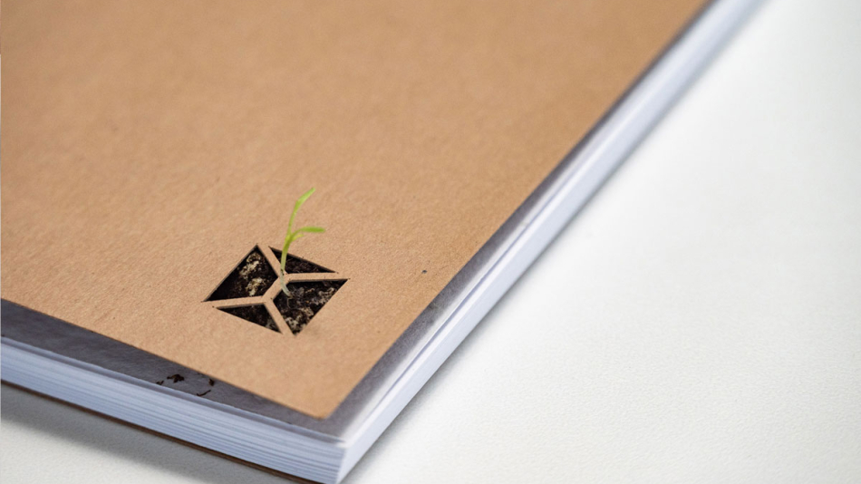 Sustainable Development Report 2023-24
